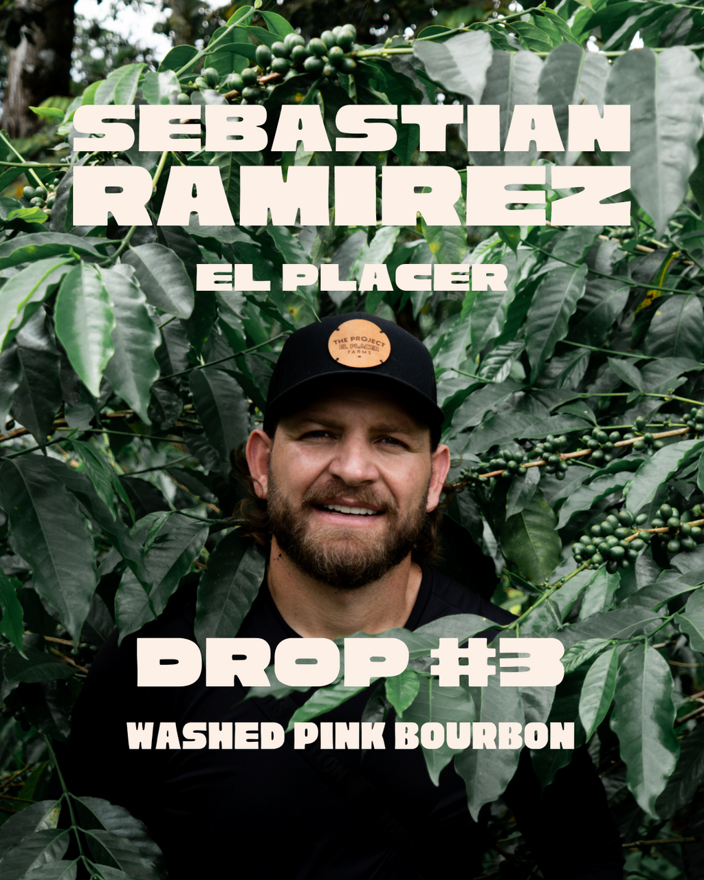 Drop #3: El Placer Bourbon Rosado