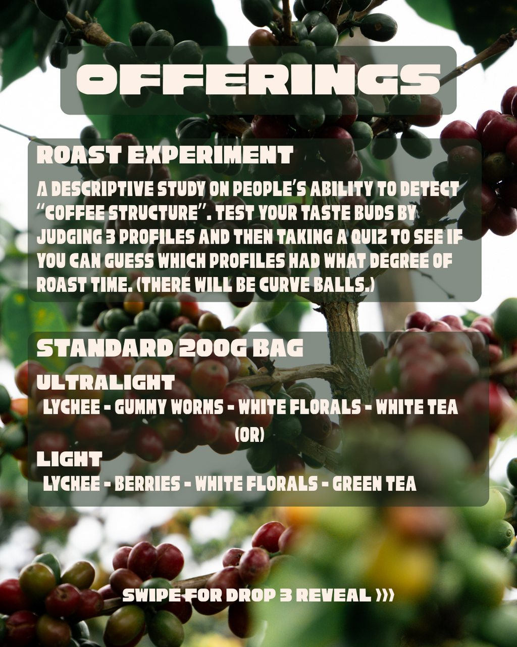 Drop #3: El Placer Bourbon Rosado