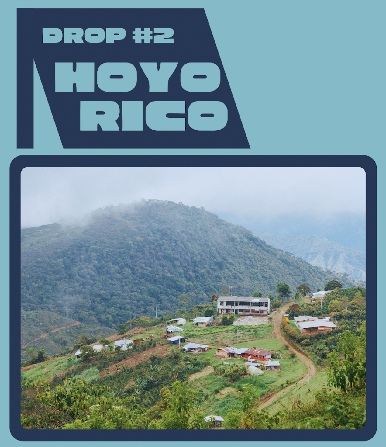 Drop #2: Finca Hoyo Rico Washed Chiroso