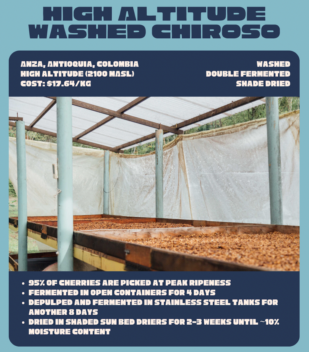 Drop #2: Finca Hoyo Rico Washed Chiroso