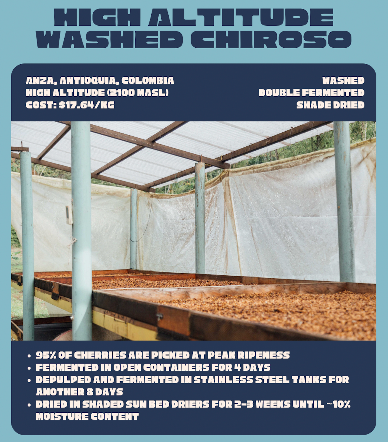 Drop #2: Finca Hoyo Rico Washed Chiroso