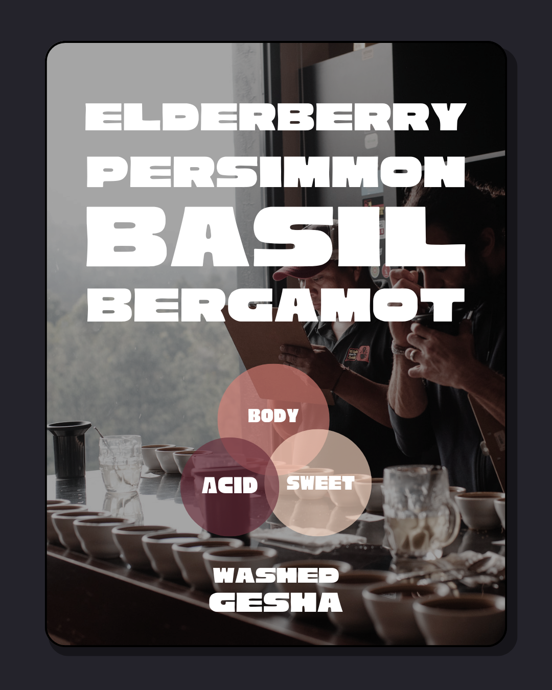 Honduras Community Lot Washed Gesha