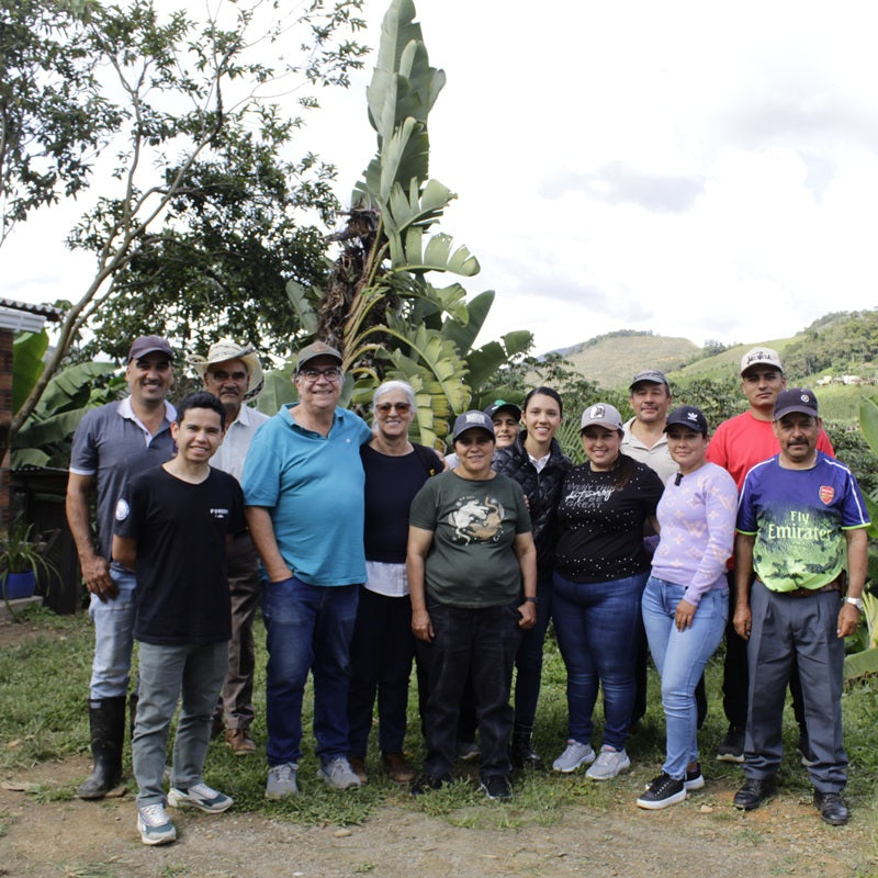 Primer: Rotating Single Origin Blend