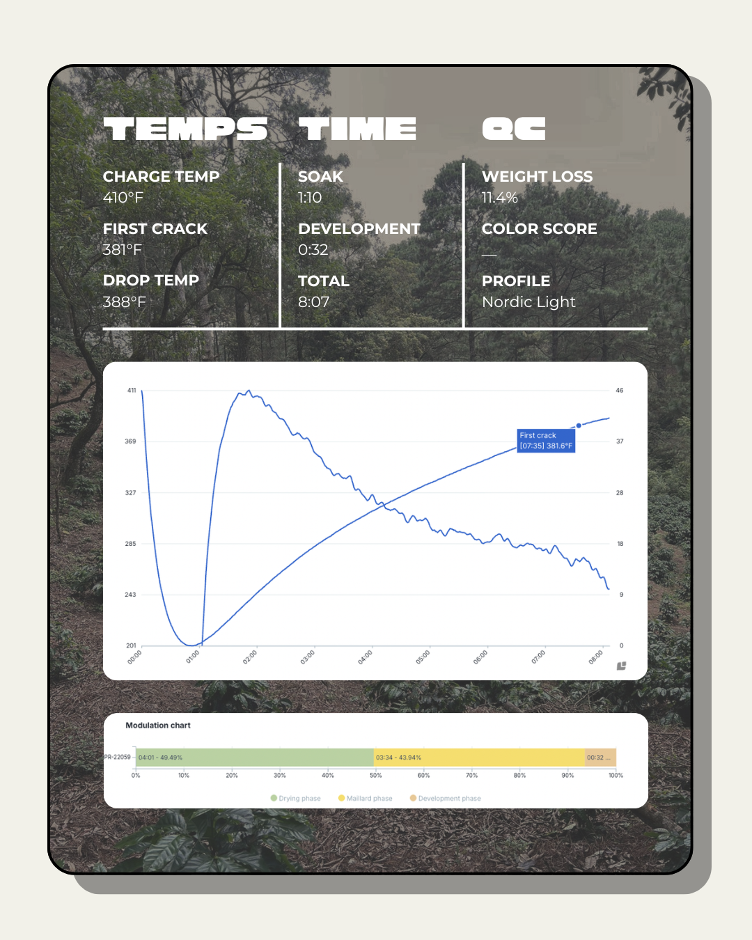 La Salvaje Washed Java