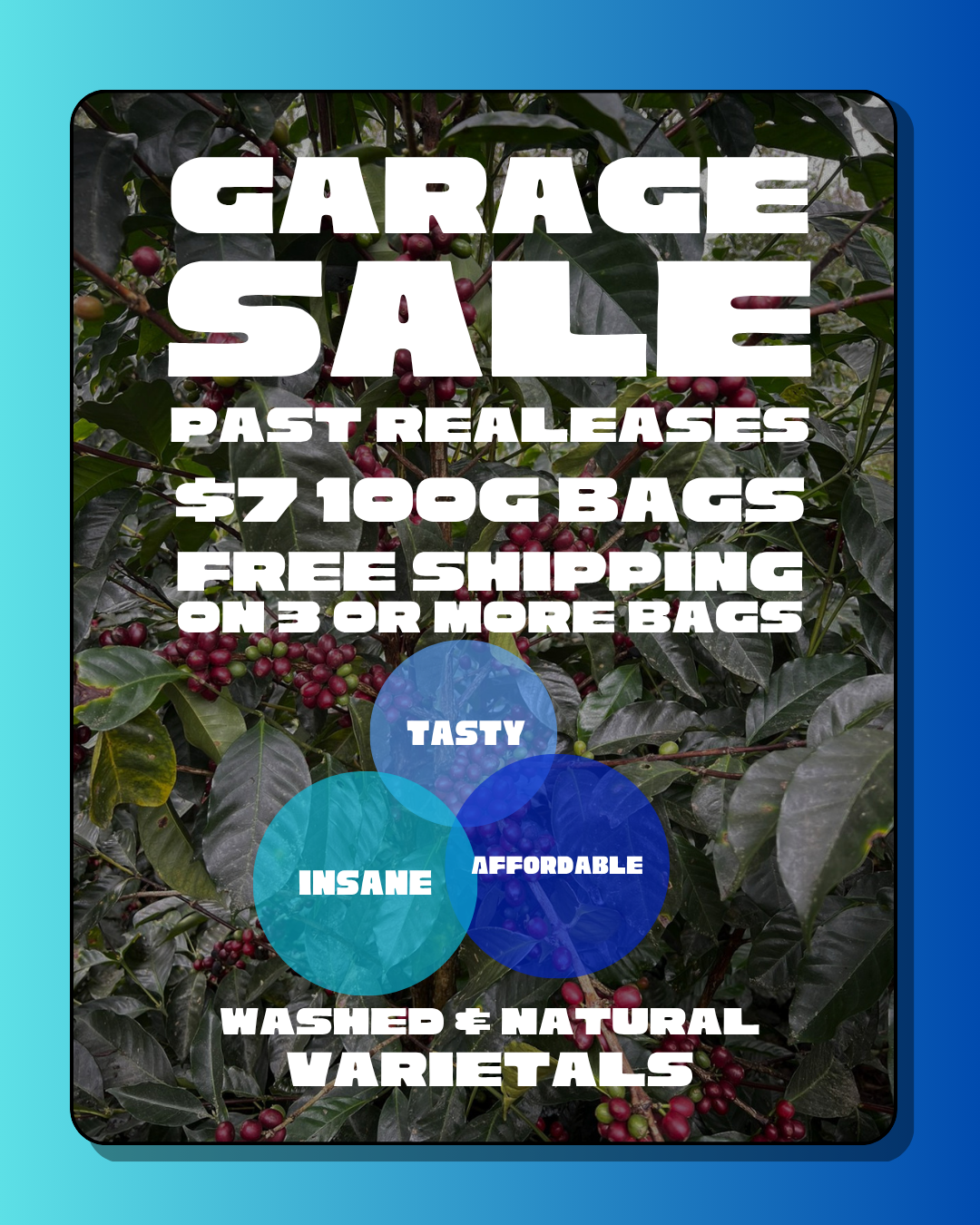 (Garage Sale) 50% off Past Releases