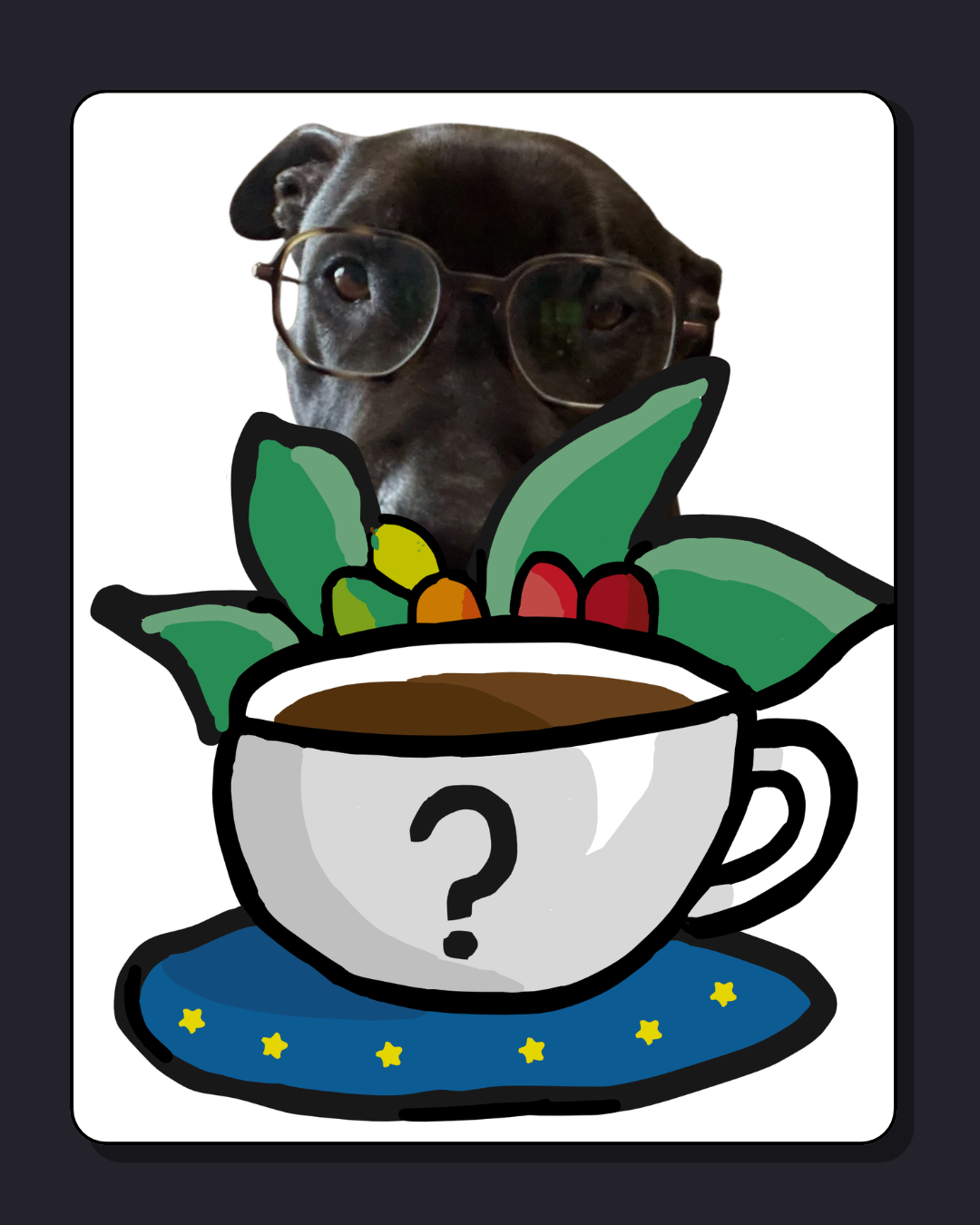 Mystery Coffee League (+ some random dog)