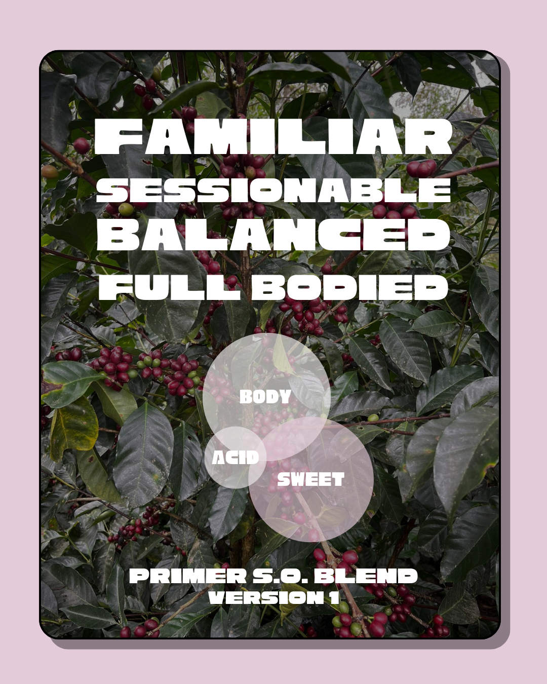 Primer: Rotating Single Origin Blend