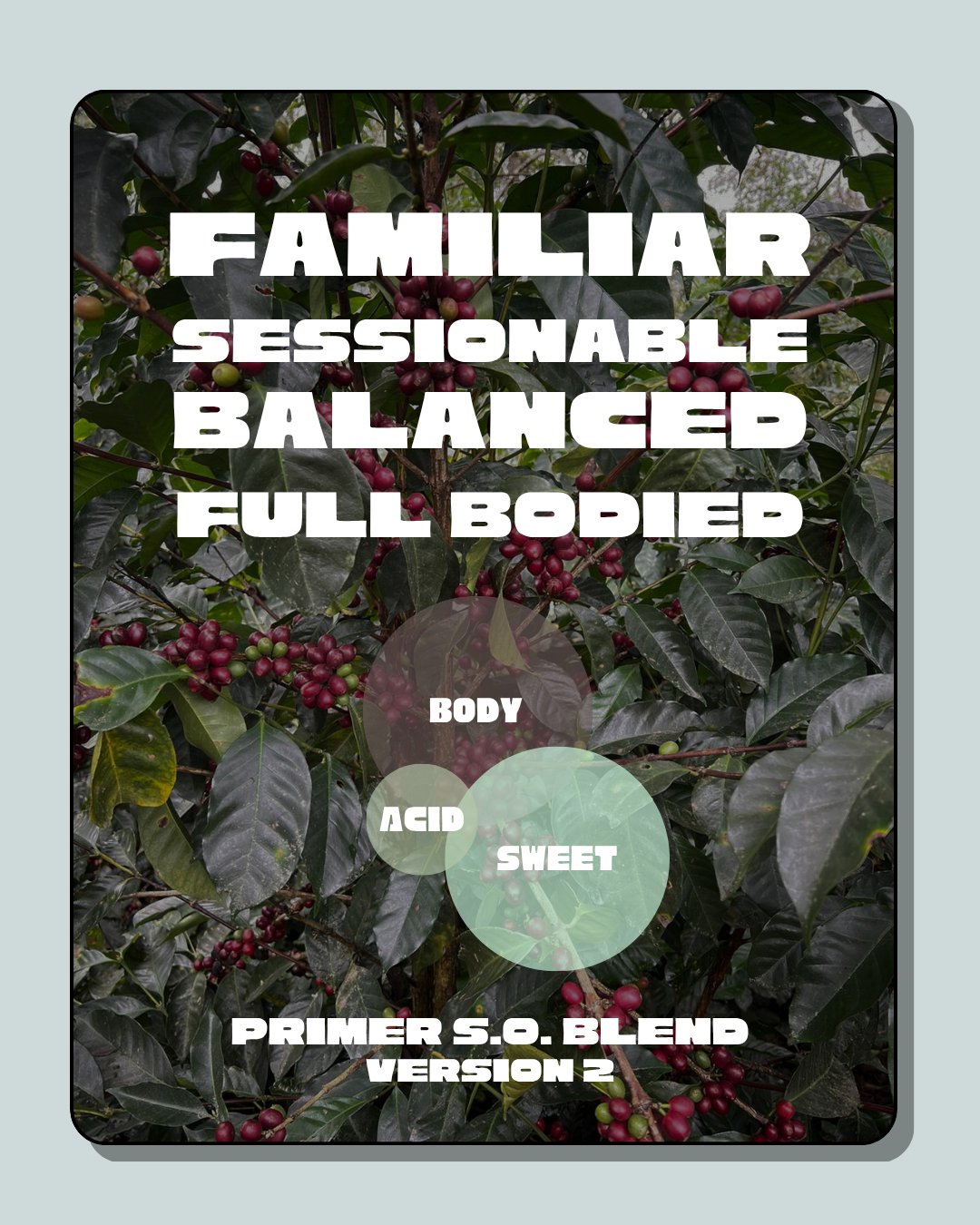 Primer: Rotating Single Origin Blend