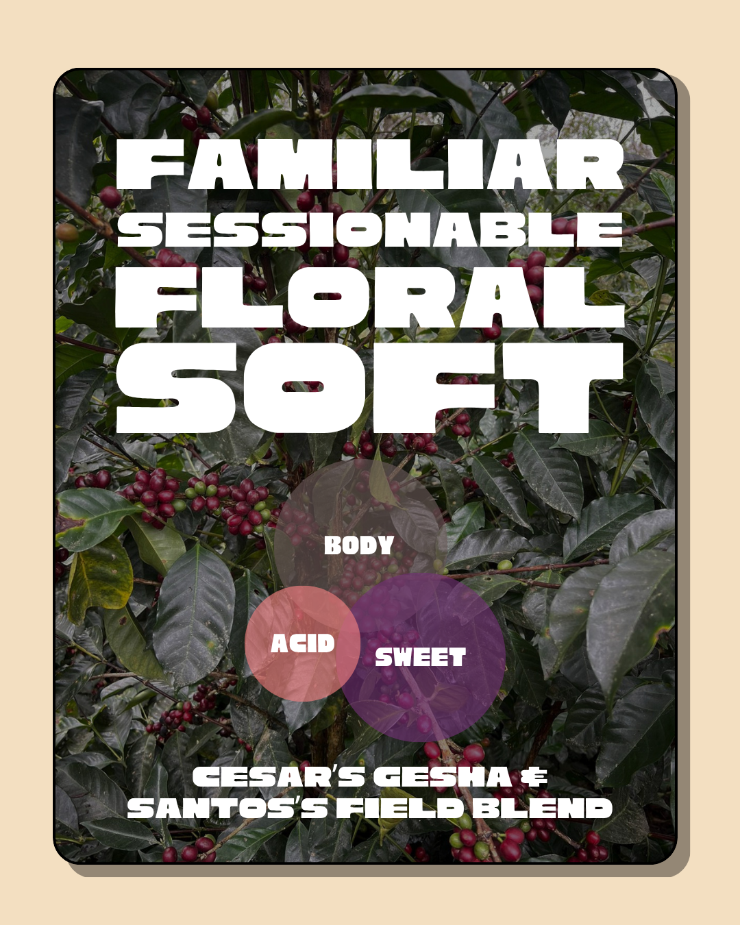 Primer: Rotating Single Origin Blend