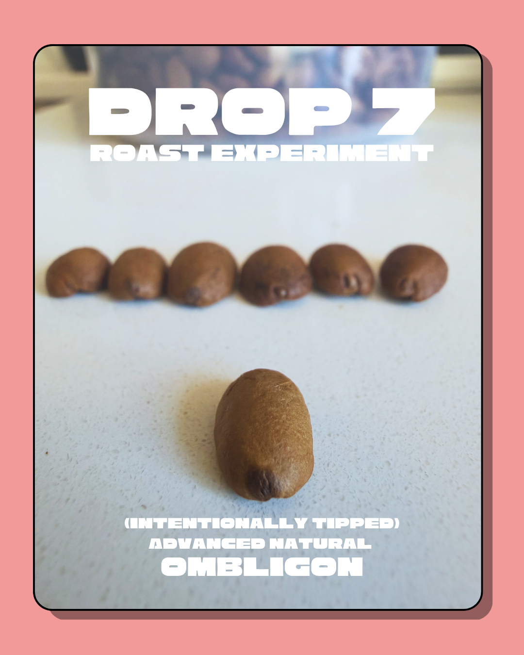 (Roast Experiment) Add on 36g of "tipped" Ombligon