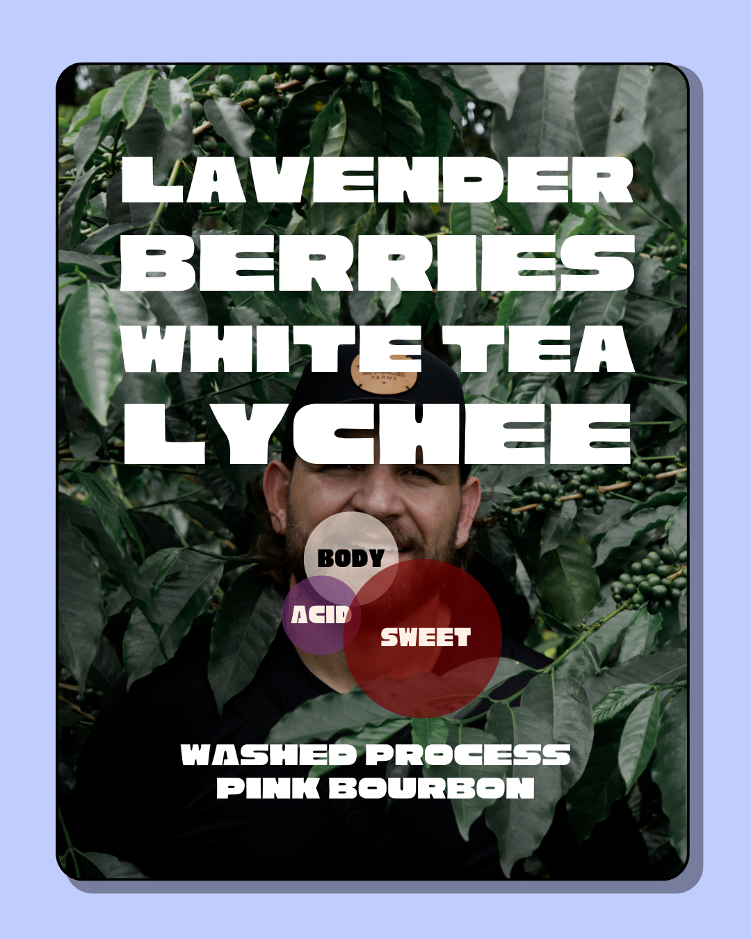 Drop #3: El Placer Bourbon Rosado