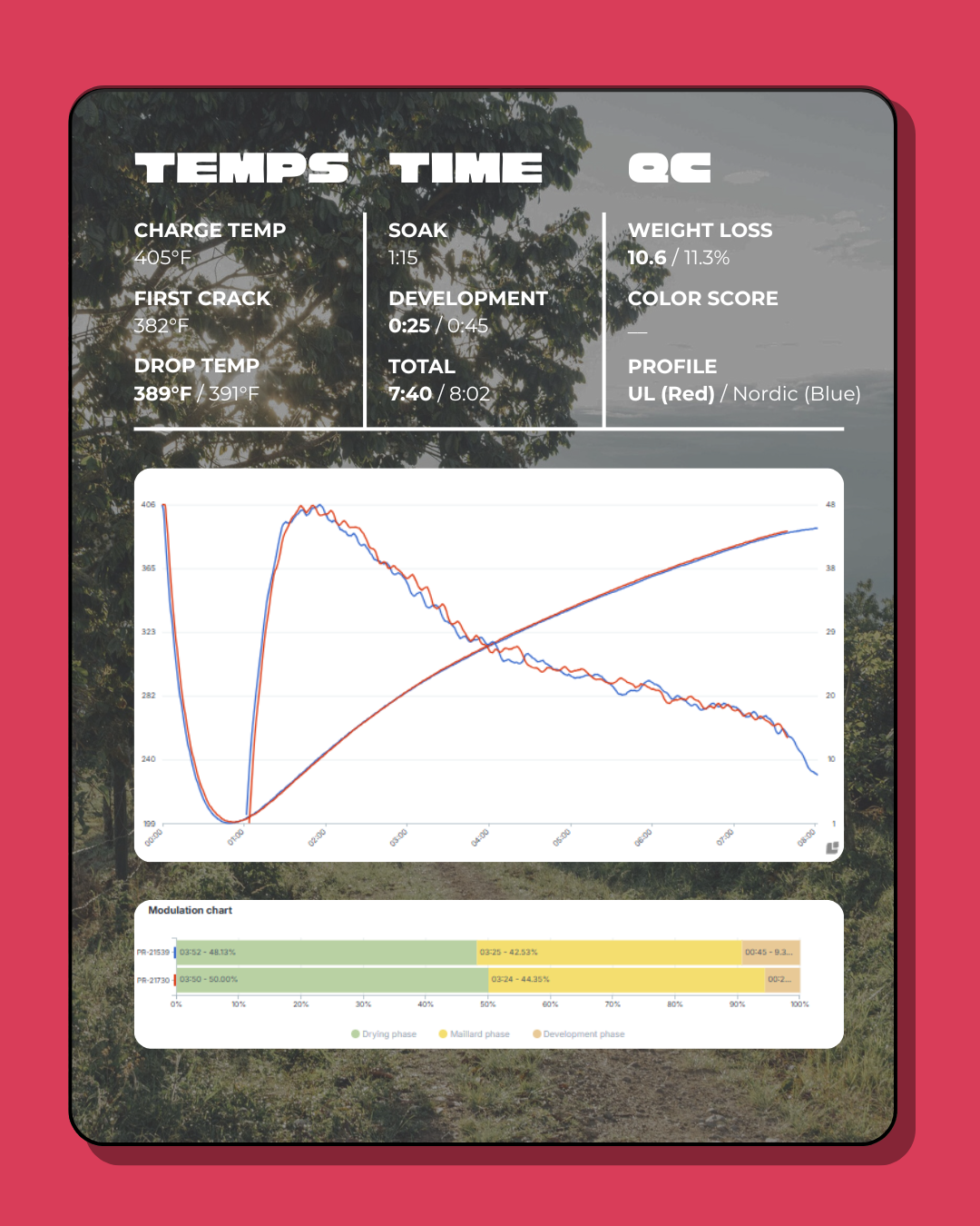El Mirador Washed Papayo
